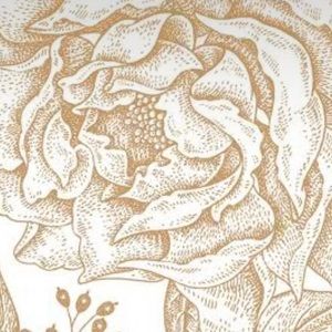 Meet your Posher, Faythe